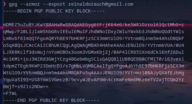 minha chave pública gpg - pode ser baixada no link: https://reinaldorauch.dev.br/assets/public.png